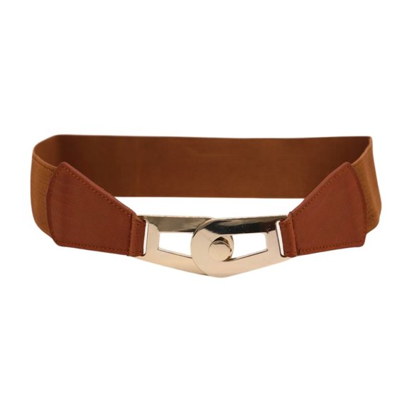 Women Brown Elastic Skinny Waistband Hip Waist Belt Gold Metal Buckle S M z046 - Picture 10 of 13